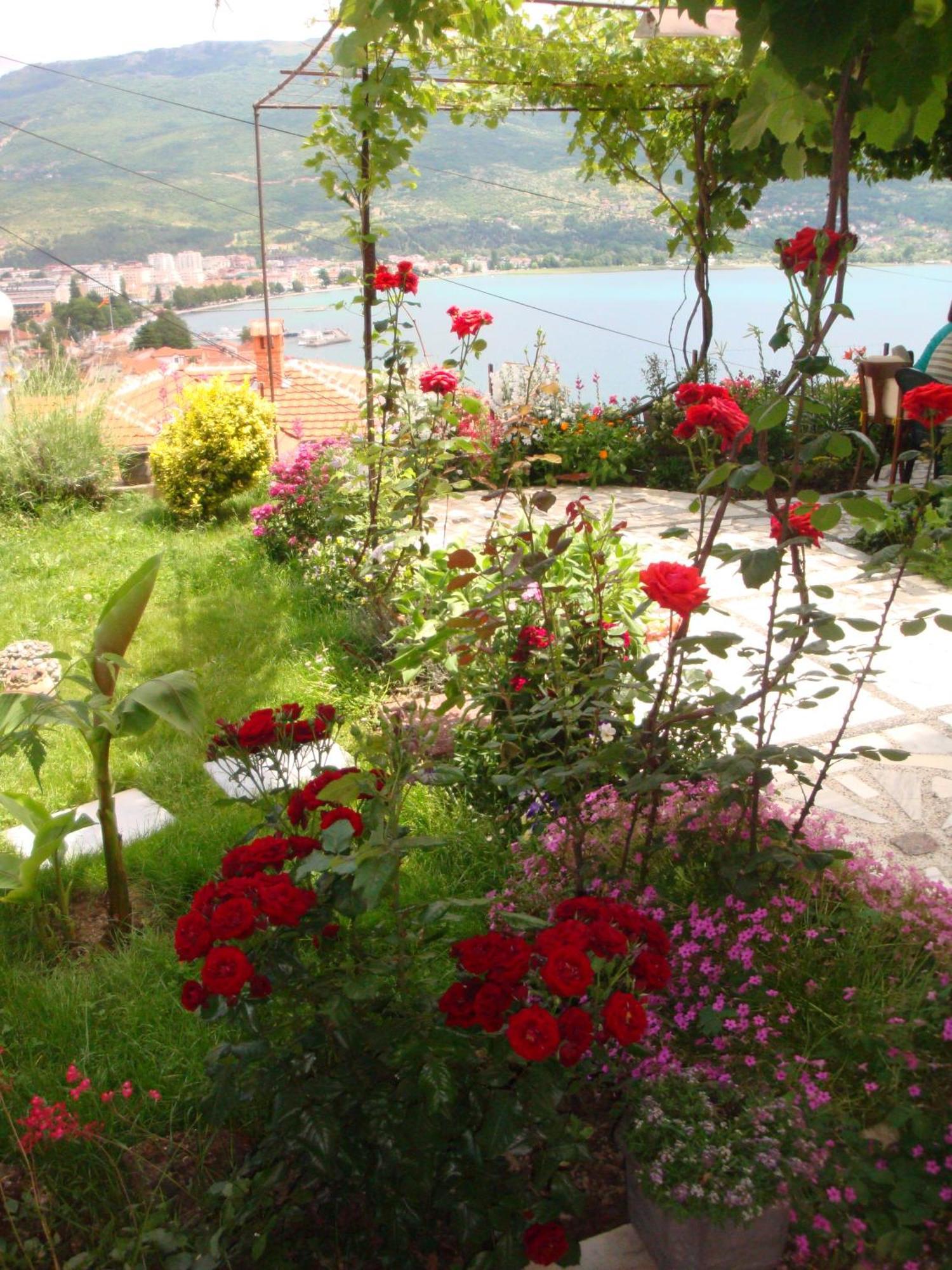 Apartments Villa Saray Ohrid Exterior foto
