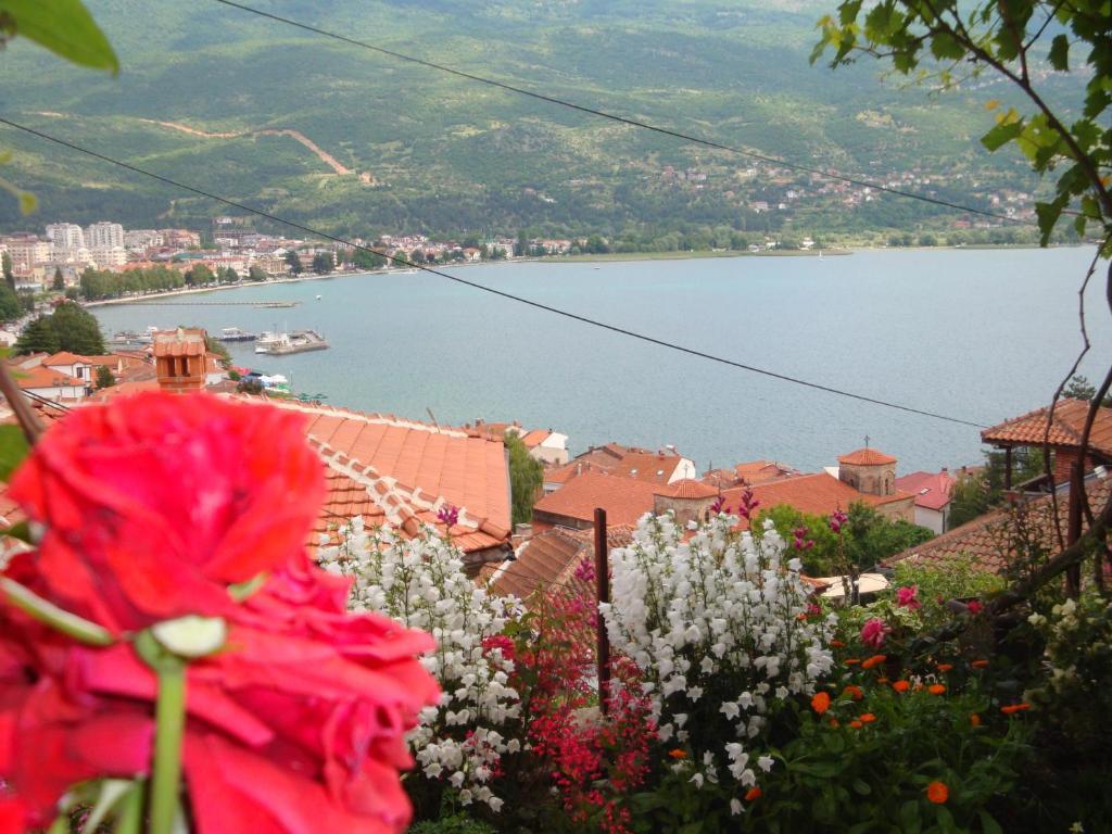 Apartments Villa Saray Ohrid Exterior foto