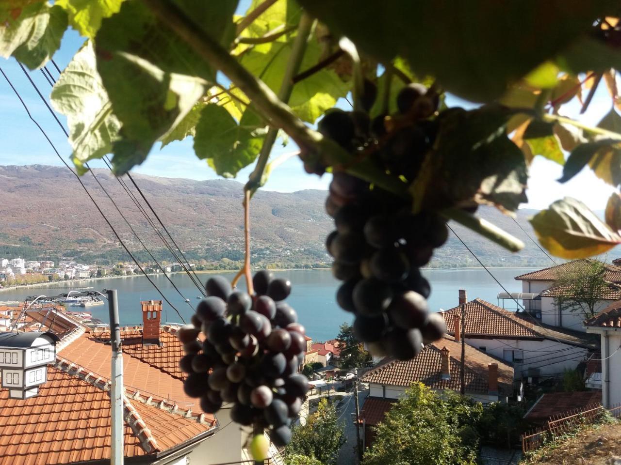 Apartments Villa Saray Ohrid Exterior foto